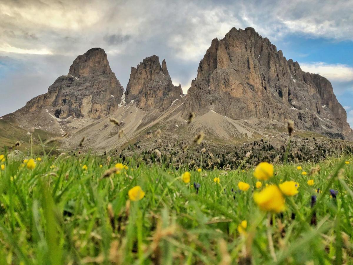 Passo Sella Dolomiti Mountain Resort เซลวาดีวัลการ์เดนา ภายนอก รูปภาพ