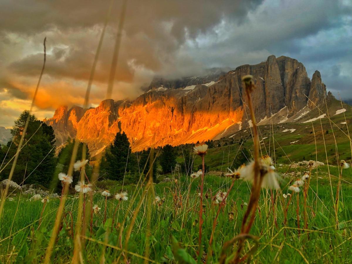 Passo Sella Dolomiti Mountain Resort เซลวาดีวัลการ์เดนา ภายนอก รูปภาพ